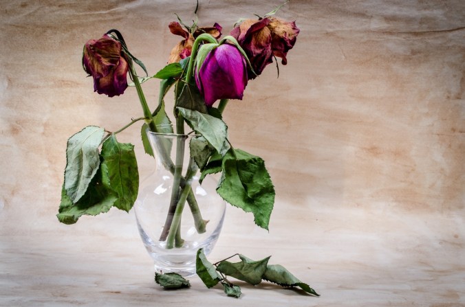 Understanding the Grief and Loss&nbsp;Cycle